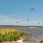 Grosser Seestern In Wiek Lejlighed