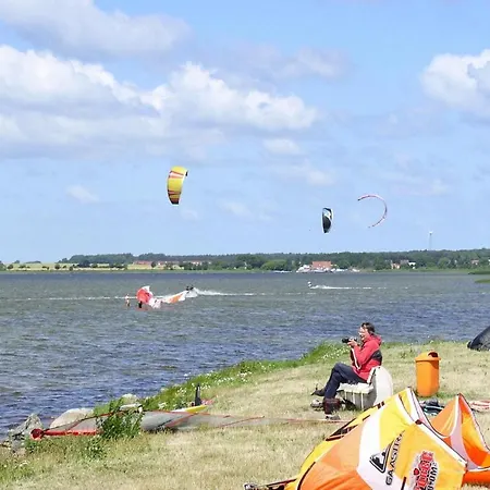 Grosser Seestern In Wiek