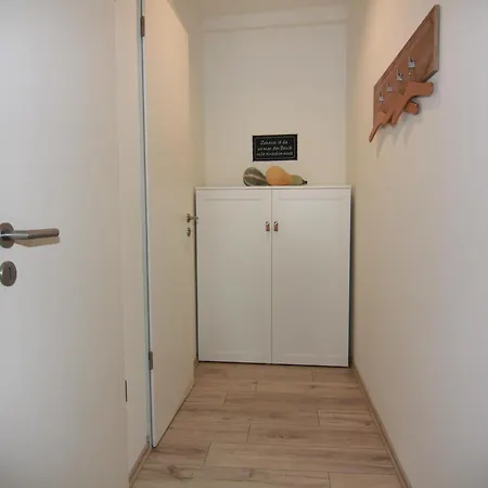 Grosser Seestern In Wiek