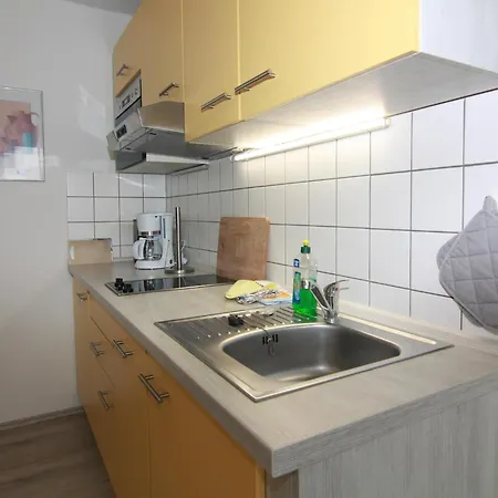 Grosser Seestern In Wiek *