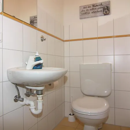 Grosser Seestern In Wiek