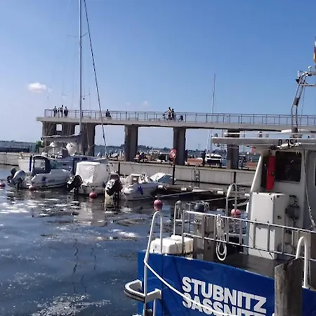 Grosser Seestern In Wiek