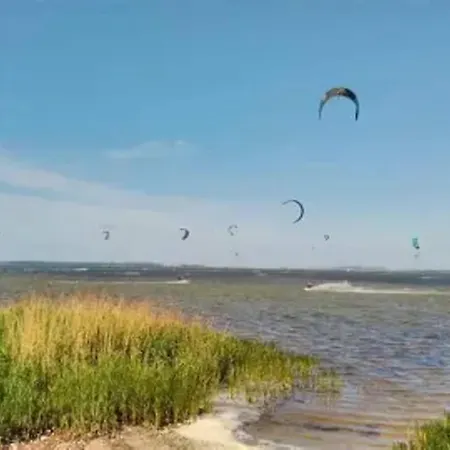 Grosser Seestern In Wiek Lejlighed