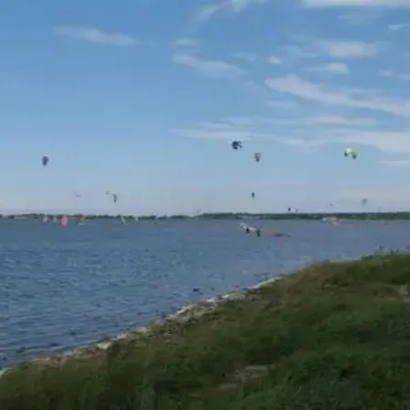 Grosser Seestern In Wiek דירה *