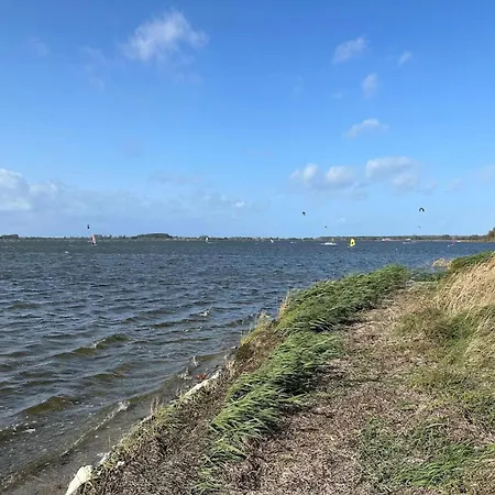 Grosser Seestern In Wiek *